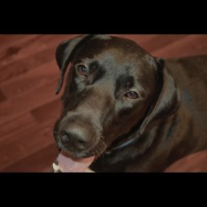 Meet your Posher, Tom